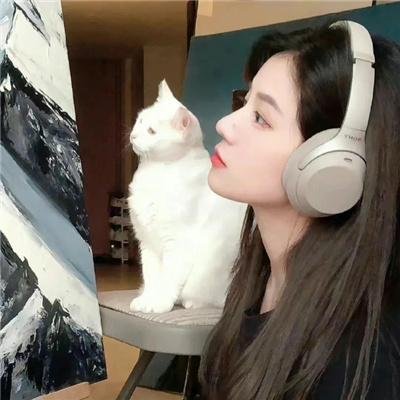 高速路连环杀手